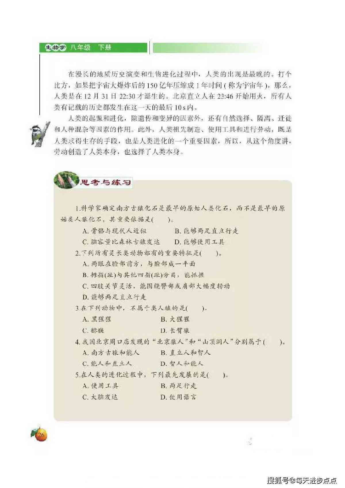 读书报告怎么做：打造高颜值电子版及单页制作全攻略