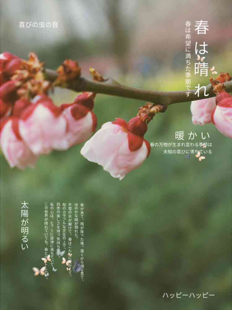 文案花朵短句干净治愈，正是开时刻的花朵放之美
