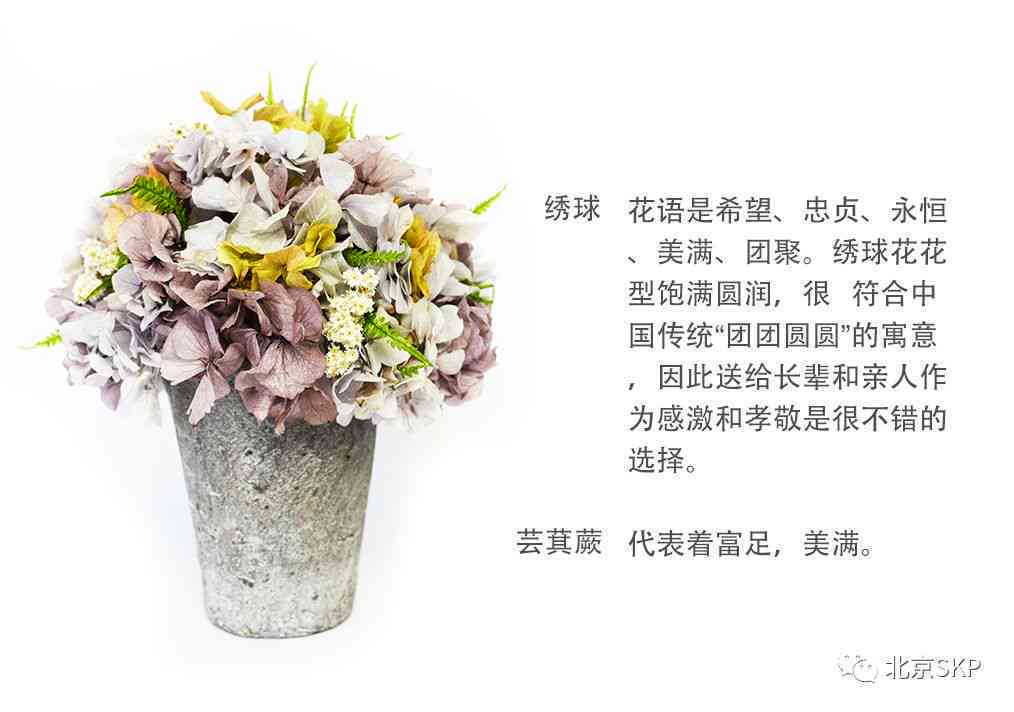 创意花卉文案汇编：打造独特花语，满足各类花艺创作与情感表达需求