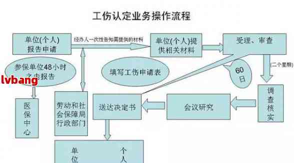 全面指南：个人如何进行工伤认定的完整流程与所需材料解析