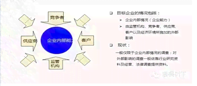 树公司详细介绍：业务范围、发展历程与市场地位解析
