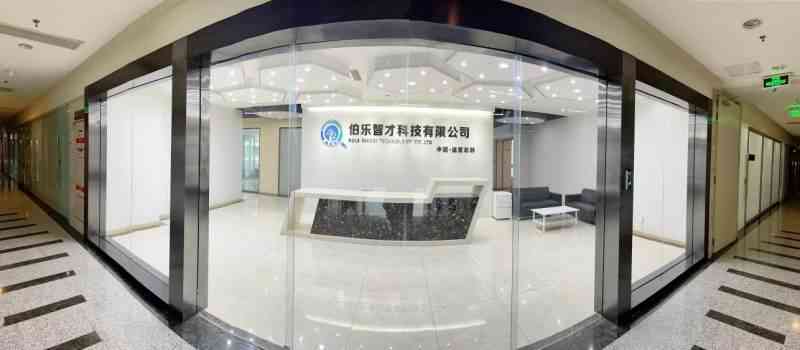 揭秘体制内创作者：全方位了解职场写作背后的故事与挑战