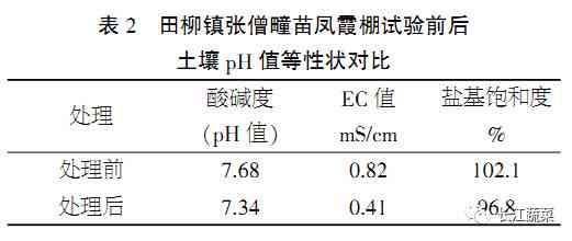 个人过失造成公司财产损失：违法性质、处理措、赔偿办法及应对策略