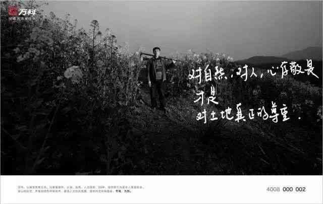 追求高品质文案，书写独特情感魅力