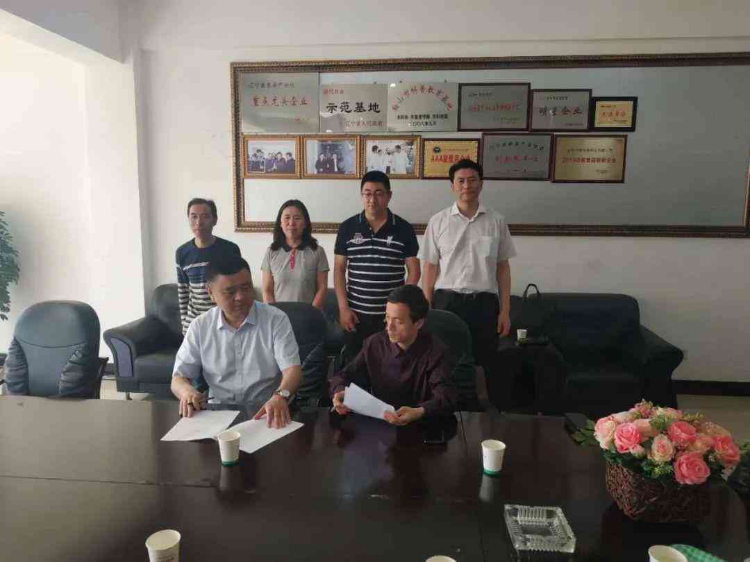 创新策划精华案例集锦