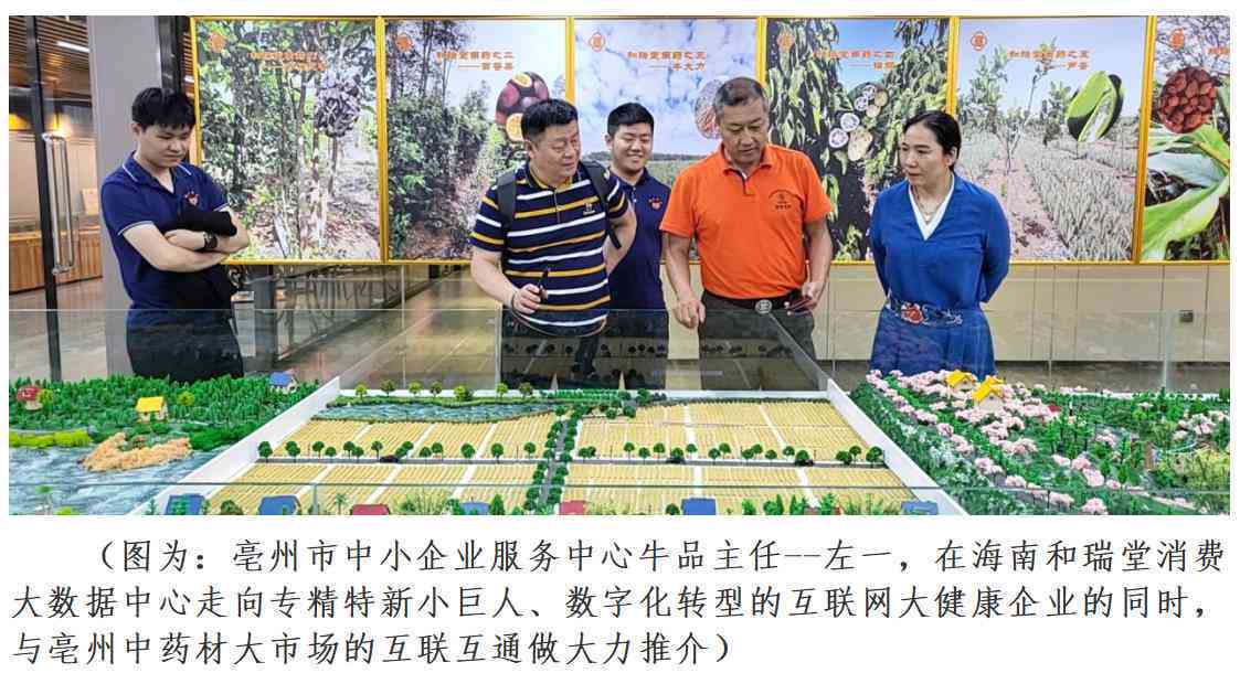 中小企业怎么认定：科技型中小企业认定标准及招标认定流程详解