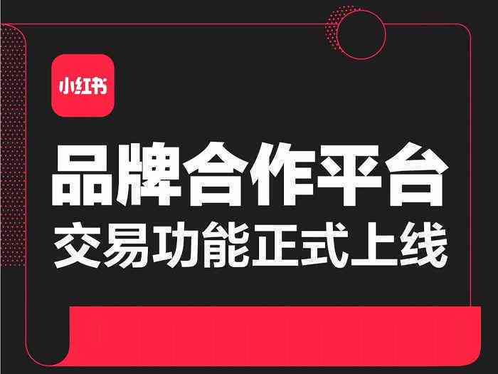 小红书全方位攻略：批量操作指南与高效解决方案，涵热门话题与实用技巧