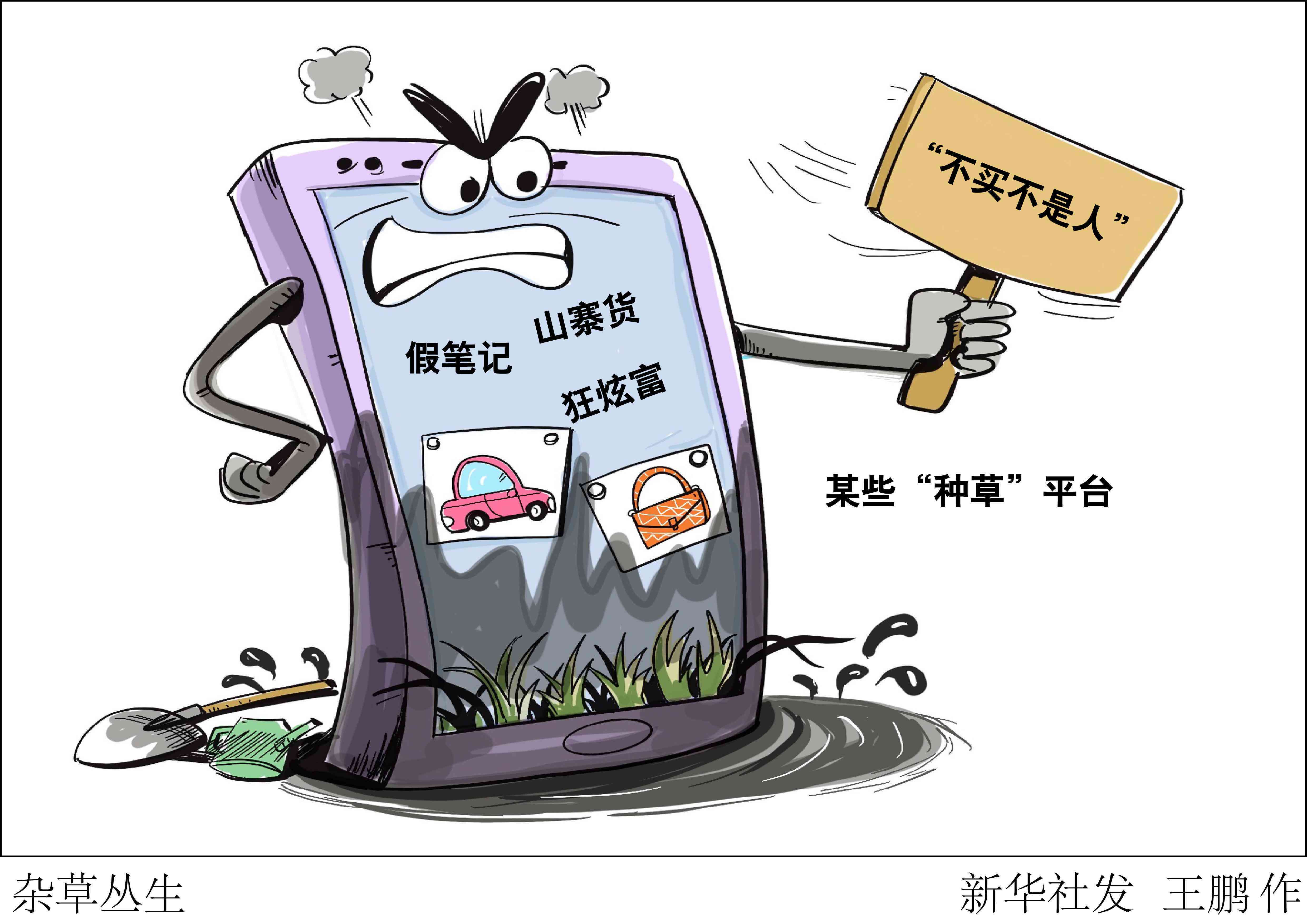 小红书全方位攻略：批量操作指南与高效解决方案，涵热门话题与实用技巧