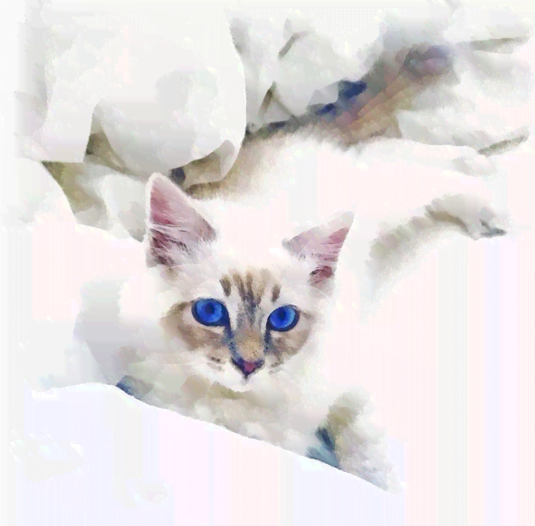 掌握AI绘画技巧：打造独特猫咪艺术作品文案撰写指南