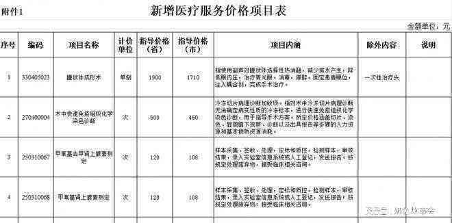 详尽解析：AI报告查询服务的价格与费用明细，一次性了解所有相关费用问题