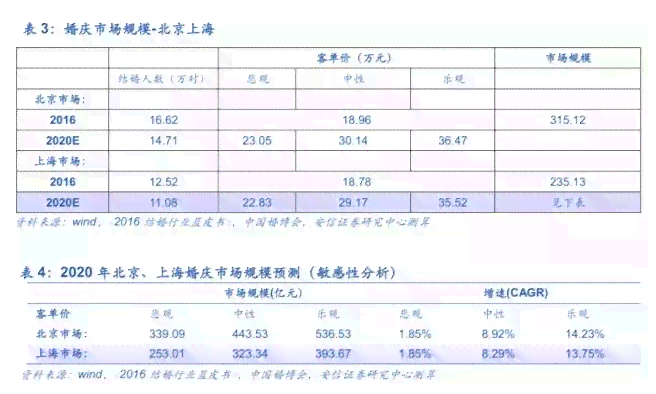 ai报告查询费用多少钱一份：详查服务费用一览