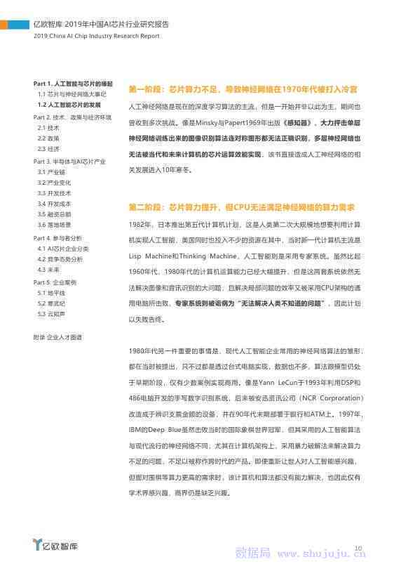 国内AI项目汇总报告模板：与撰写指南