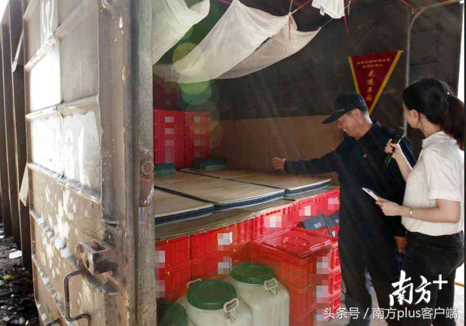 临时押运员怎么找工作：临时工身份如何求职押运岗位