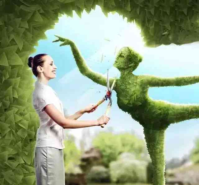 灵感源泉：创意生成与搜集