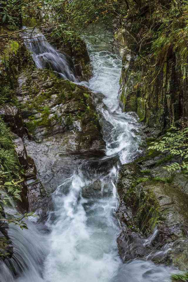 景区文案策划范文：写作教程与模板大全