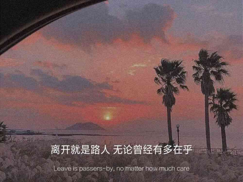 情感的度：朋友圈文案里的爱情絮语