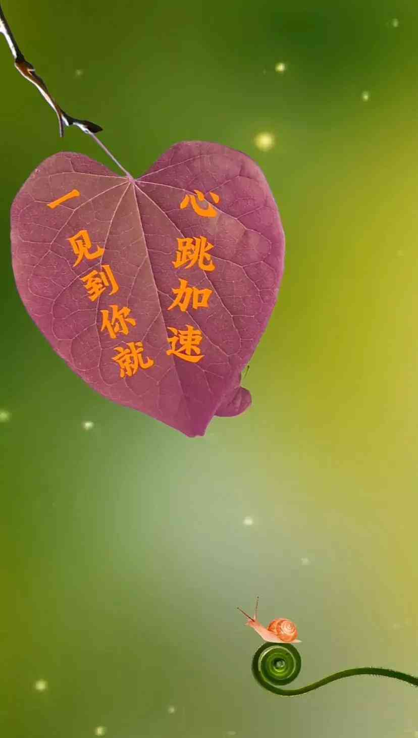 精选浪漫文案：爱情短句集锦，馨表白必备