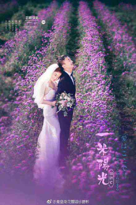 ai婚纱照加花瓣雨文案：打造花海浪漫，记录永恒瞬间