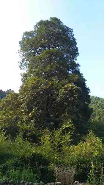 兰山区工伤保障与理赔管理科