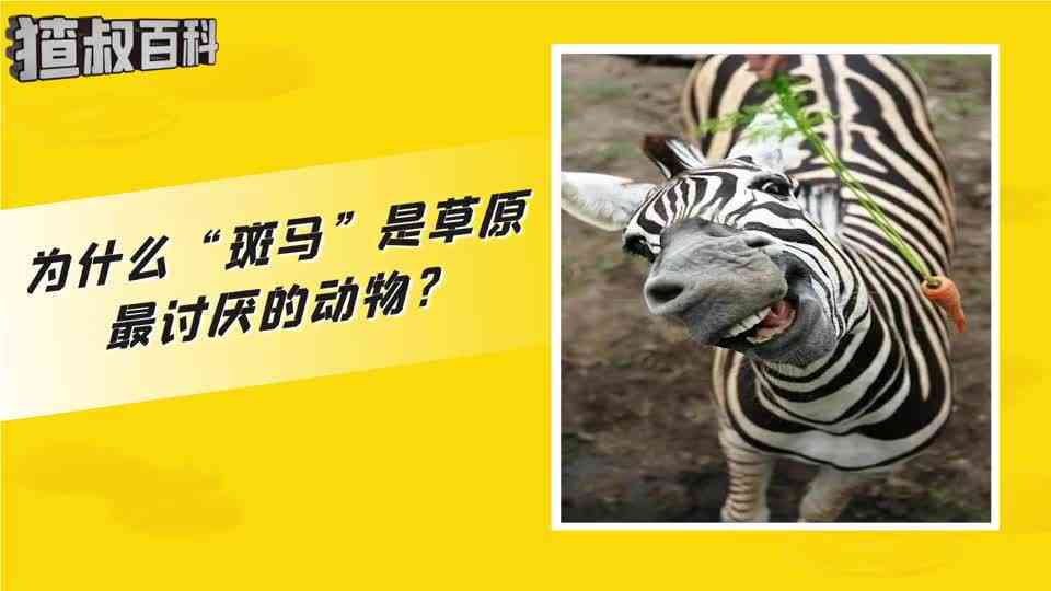 斑马ai课优课广告：为何歌曲那么讨厌，广告语与AL课版本大揭秘