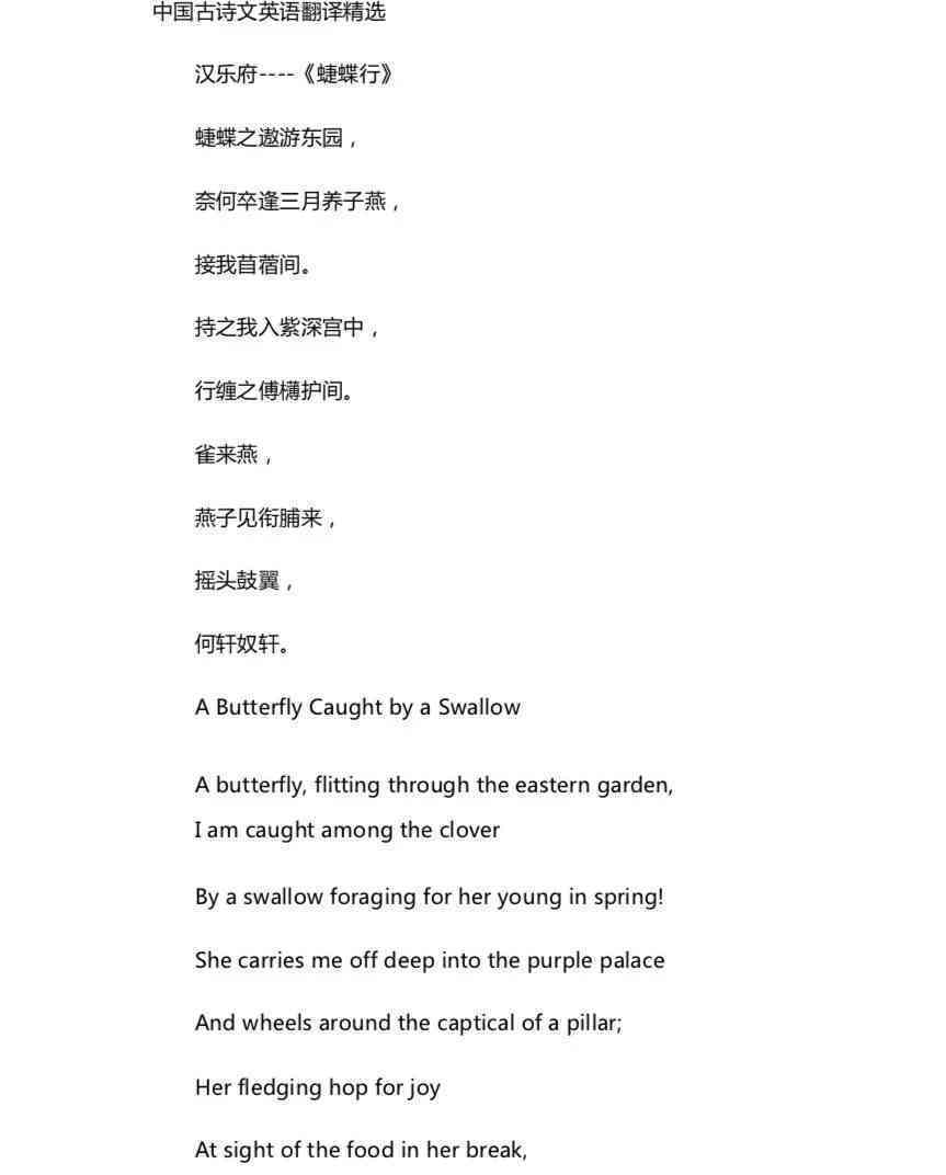 提升英语写作技巧：经典作文范文精选与解析