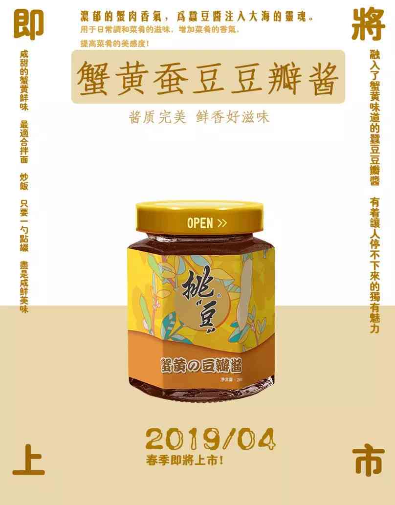 创意调味料广告方案：涵多种口味与用途的全方位营销策略
