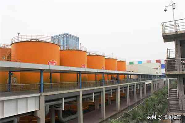 关于调味料的广告汇编创意广告语及大全集锦