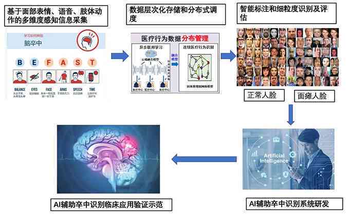 智能AI辅助临床诊断与精准医疗决策