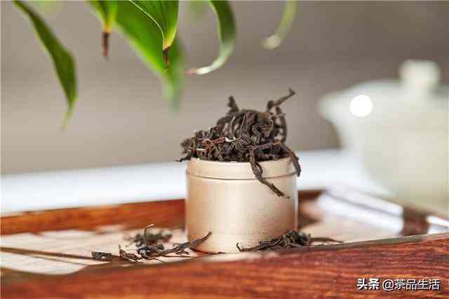 用户首选！全方位评测免费AI论文写作软件，哪个才是性价比之王？