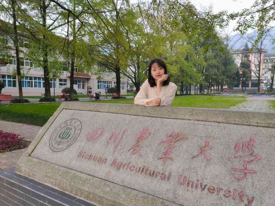 南开大学计算机学院AI专业推免生源深度解析报告