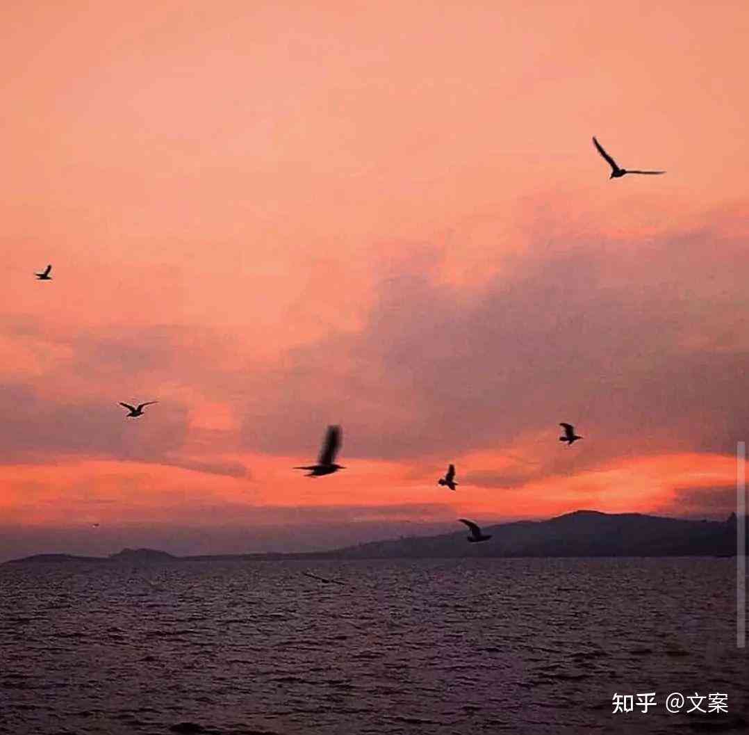 风景文案短句干净治愈感性：柔高质量的风景文案句子