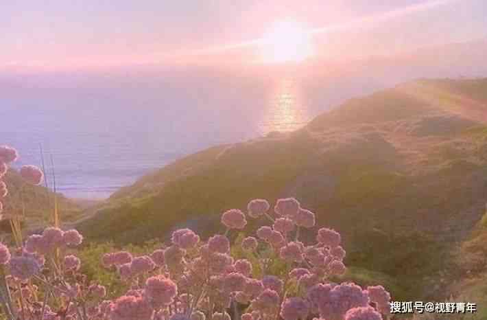 风景文案短句干净治愈感性：柔高质量的风景文案句子