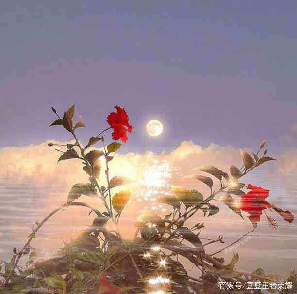 风景文案短句干净治愈感性：柔高质量的风景文案句子