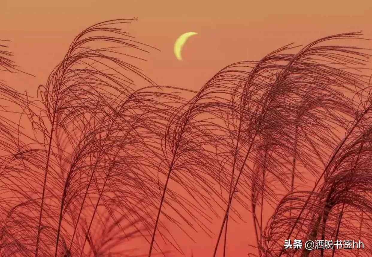 清新治愈系风景文案：诗意长句汇编，全方位满足心灵疗愈需求