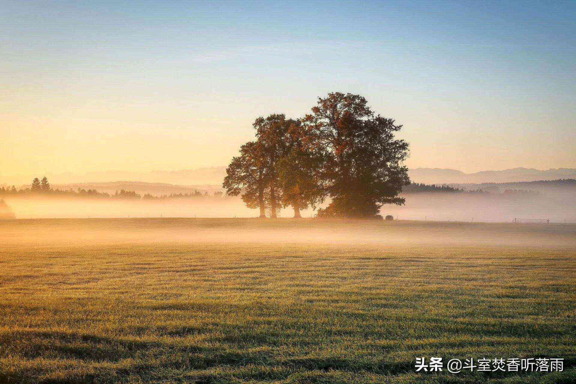 清新治愈系风景文案：诗意长句汇编，全方位满足心灵疗愈需求