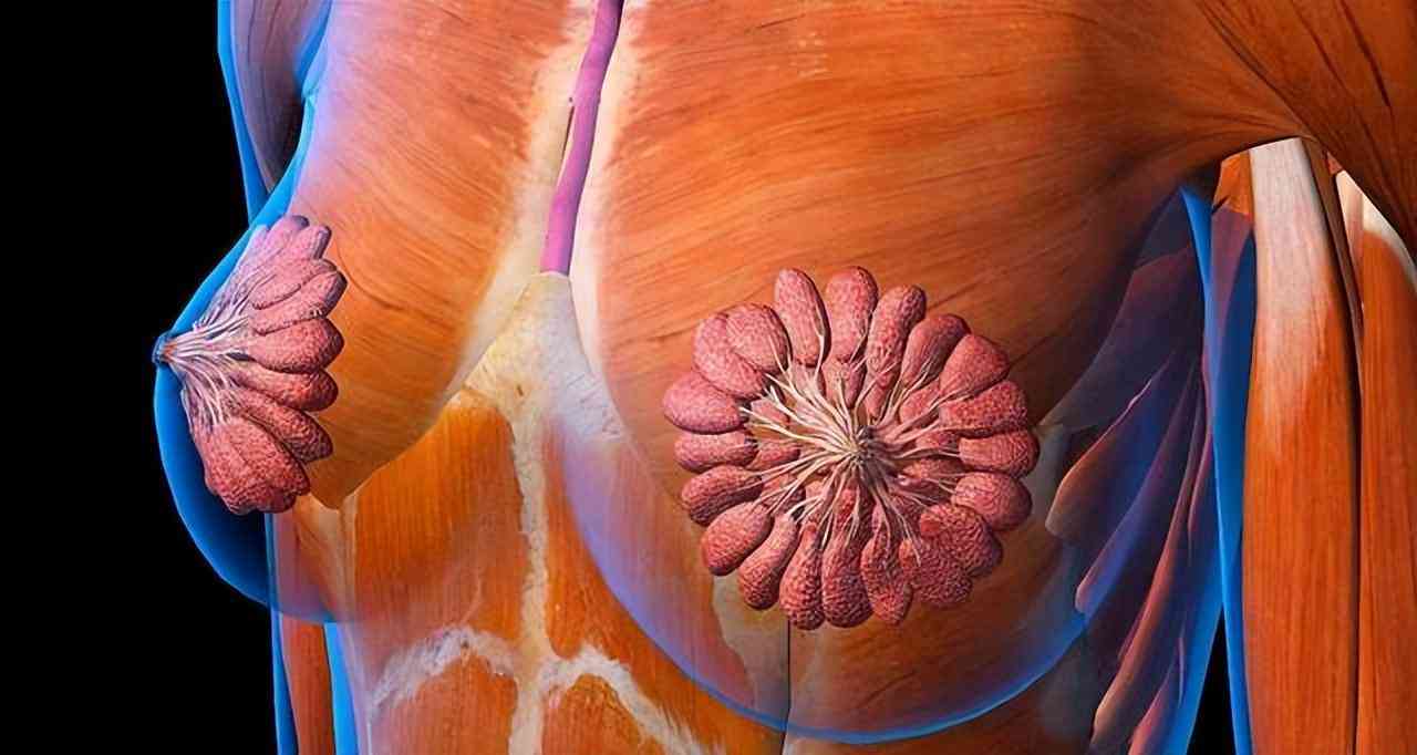 乳腺结节如何影响保险购买与理赔：全面解析投保注意事项与可选产品