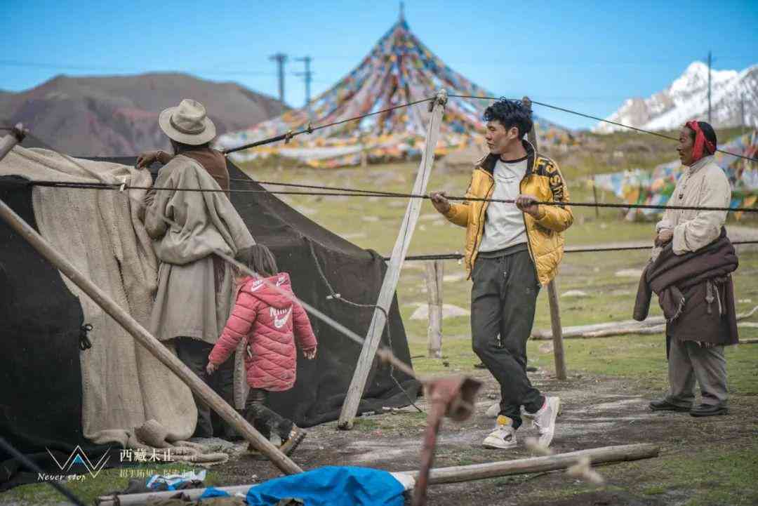 探索动画转场效果：全面指南与实战技巧解析