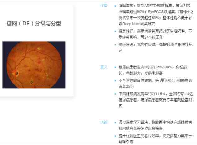 人工智能眼底成像技术综合诊断报告：全面解读眼底健状况与疾病风险
