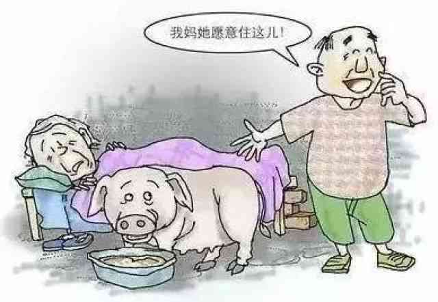 如何在朋友圈表达对母公婆的孝敬之情及分享家庭和谐之道