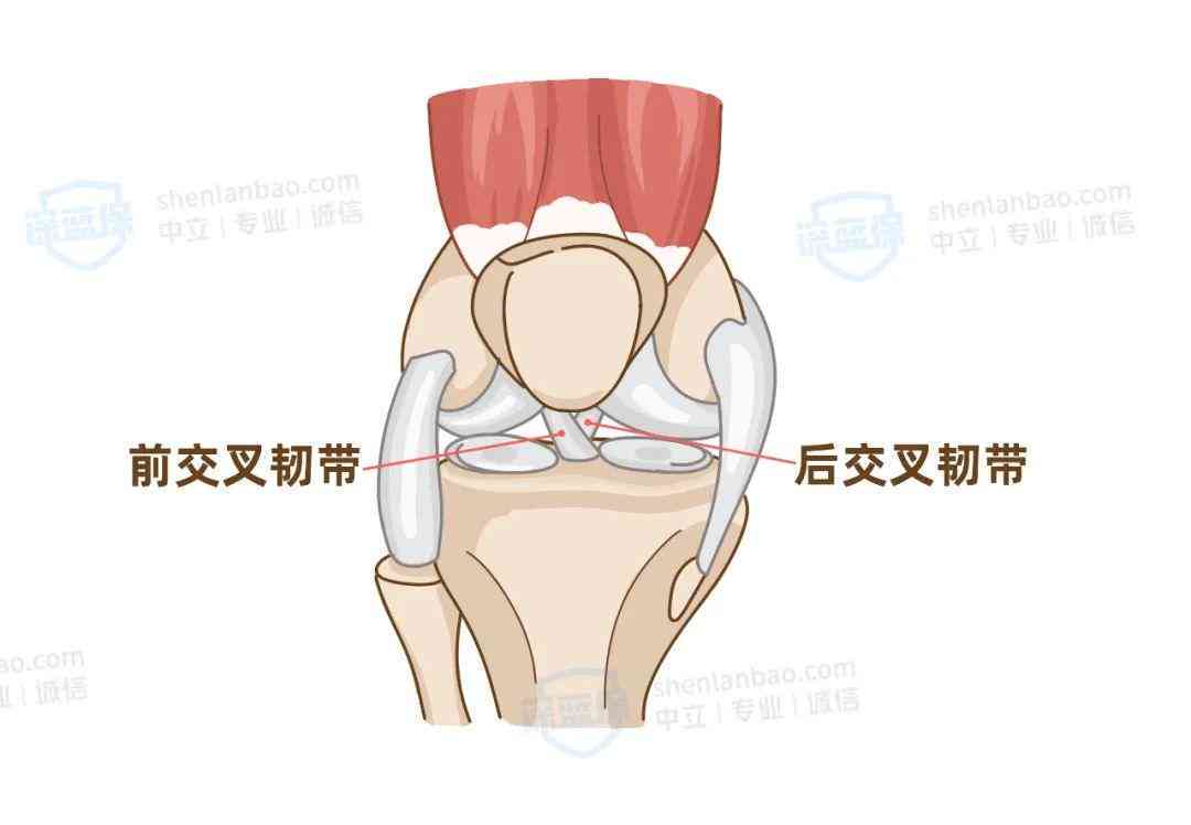 二次手术能认定工伤吗多少钱：每日、每月费用及工伤认定详解