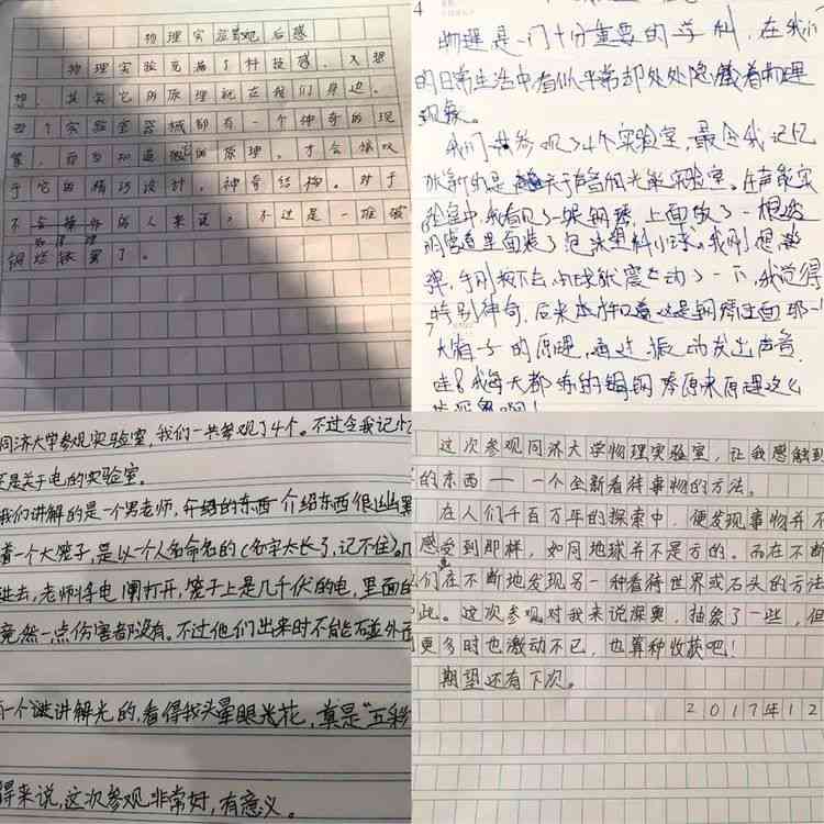 探索理想之境：600-800字作文攻略与实例解析