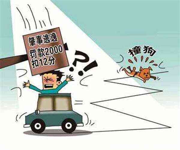 肇事逃逸者如何认定工伤：逃逸情形下的工伤申报难题