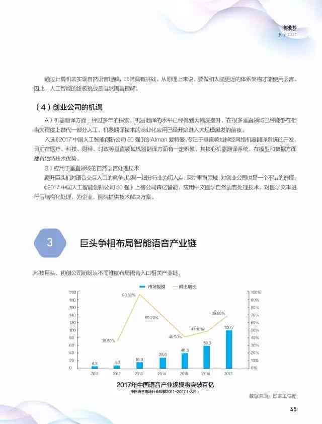 中国ai报告