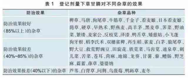 重复率nn探讨人口失踪立案标准的重复率与关键要素