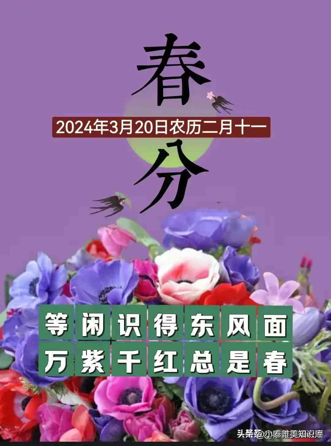 全方位评测：2024年AI文案生成网站盘点，满足各类写作需求