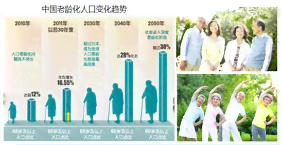 探寻智慧：关于老人生活智慧与经验的文案分享
