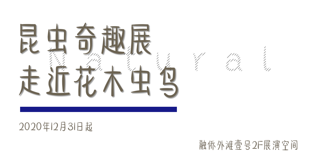 探讨艺术作品中的情感表达与心理影响：跨学科视角下的艺术情感研究论文