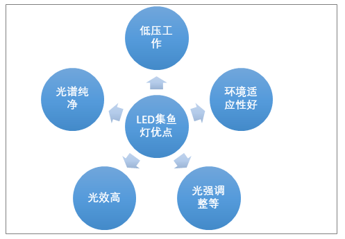 发布：深入解析中国发展现状与战略报告