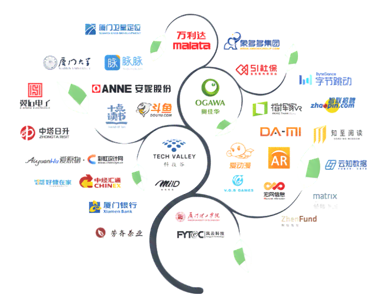 探秘树网络公司：技术创新与业务发展全解析
