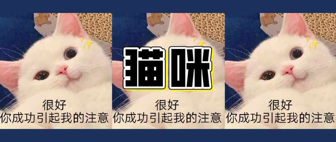 AI助手打造全方位可爱猫咪文案攻略：轻松解决猫咪主题创意写作难题